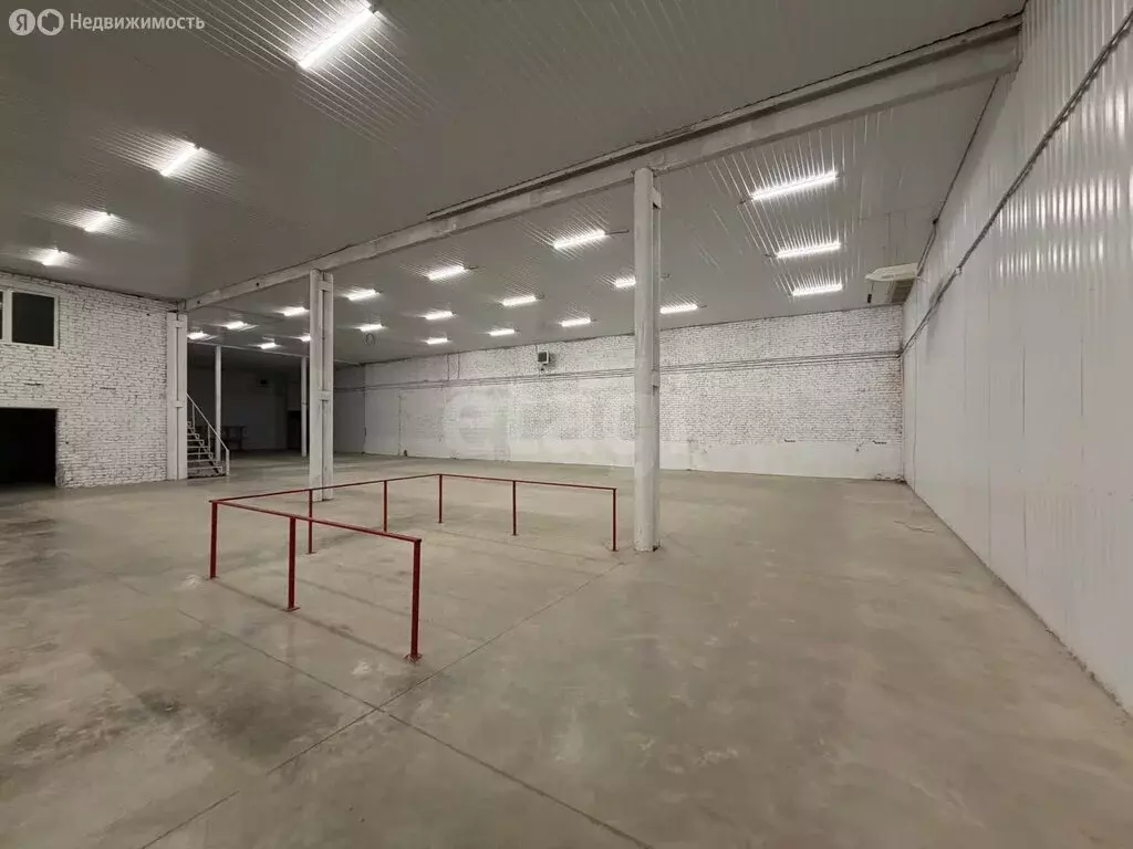 Помещение свободного назначения (954 м) - Фото 1