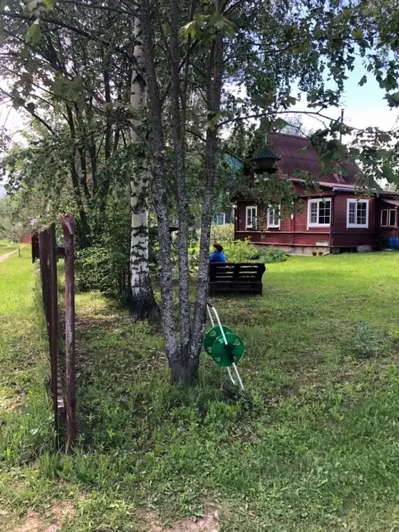 Участок в Владимирская область, Александровский район, Андреевское ... - Фото 0