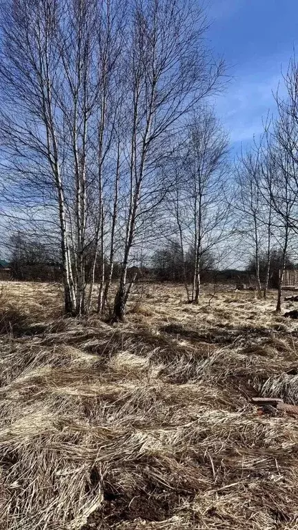 Участок в Московская область, Можайский муниципальный округ, д. ... - Фото 1