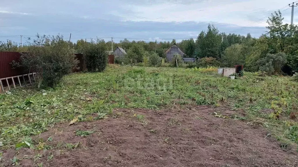 Участок в Тюменская область, Тюменский район, Нива СНТ ул. Фруктовая ... - Фото 0