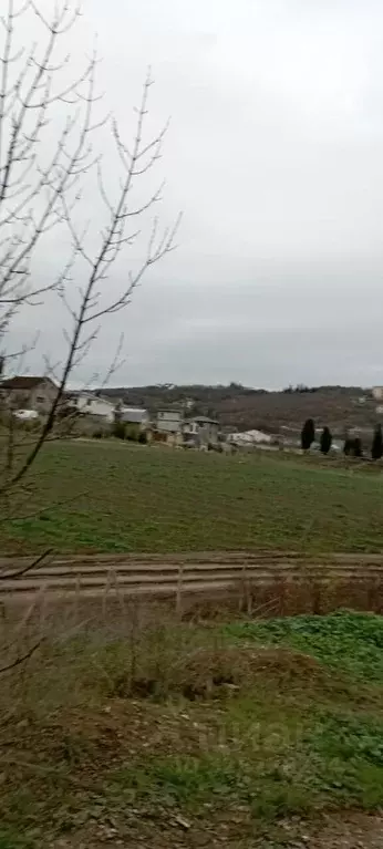 Участок в Крым, Алушта ул. Рябиновая (4.8 сот.) - Фото 2