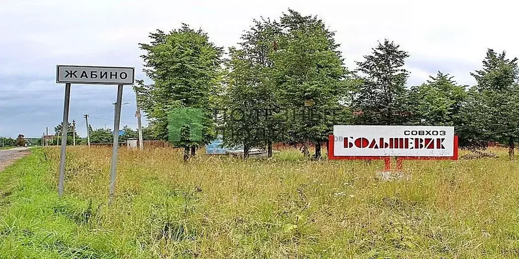Участок в Ленинградская область, Гатчинский район, д. Жабино ул. ... - Фото 0