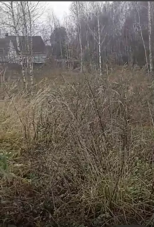 Участок в Московская область, Наро-Фоминский городской округ, д. ... - Фото 1