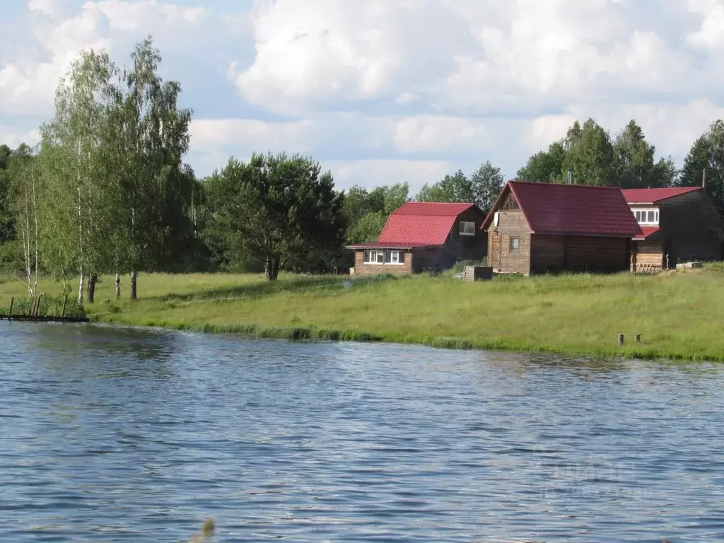 Дом в Брянская область, Навлинский район, Бяковское с/пос  (110 м) - Фото 1