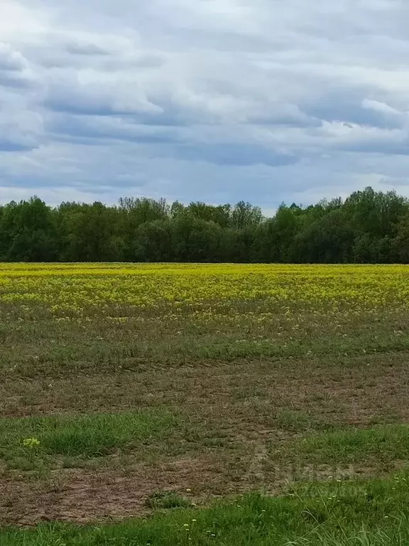 Участок в Башкортостан, Иглинский район, Ауструмский сельсовет, д. ... - Фото 0