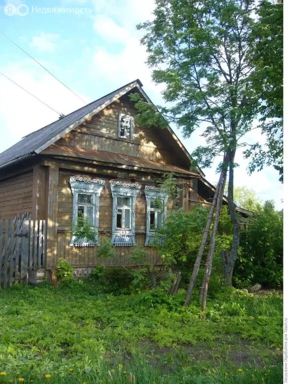 1-комнатная квартира: деревня Ныша, Молодёжная улица, 9 (20 м) - Фото 2