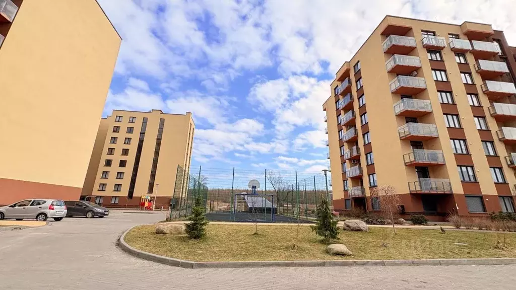 Студия Калининградская область, Светлогорск Дачная ул., 6 (25.7 м) - Фото 2