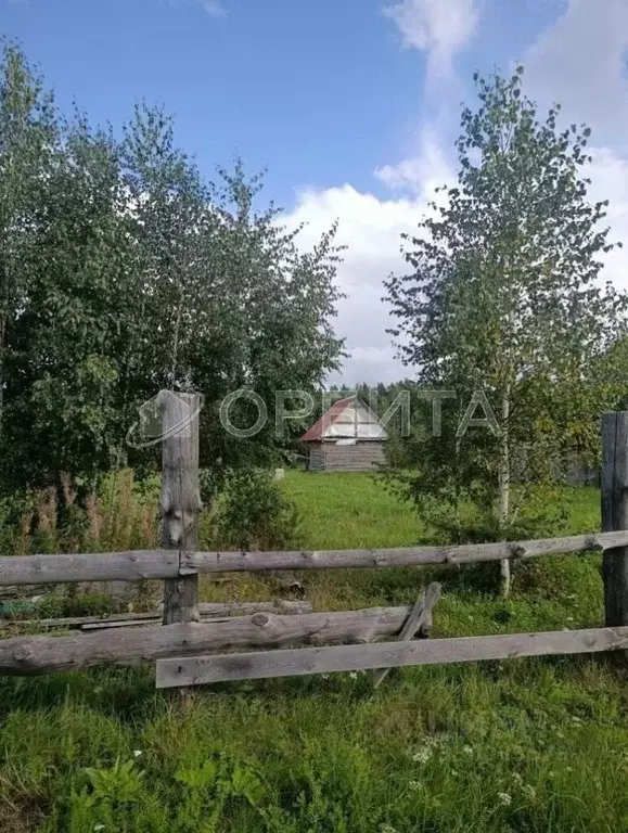 Участок в Свердловская область, Слободо-Туринский район, ... - Фото 1