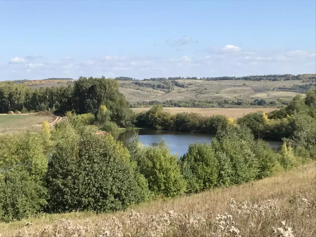 Участок в Татарстан, Верхнеуслонский район, Кураловское с/пос, с. ... - Фото 2