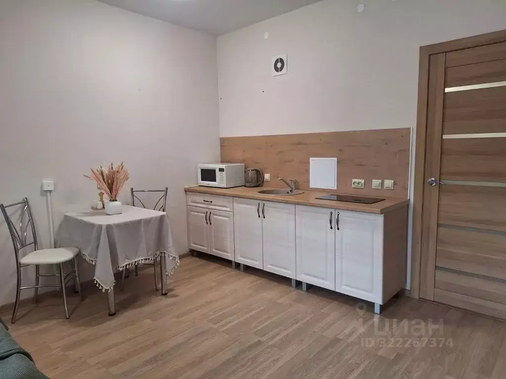 Студия Пермский край, Пермь Монастырская ул., 46 (33.0 м) - Фото 2