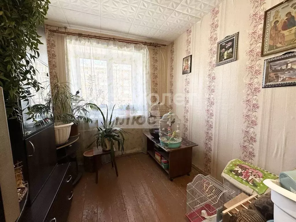 2-к кв. Владимирская область, Карабаново г. Александровский ... - Фото 1