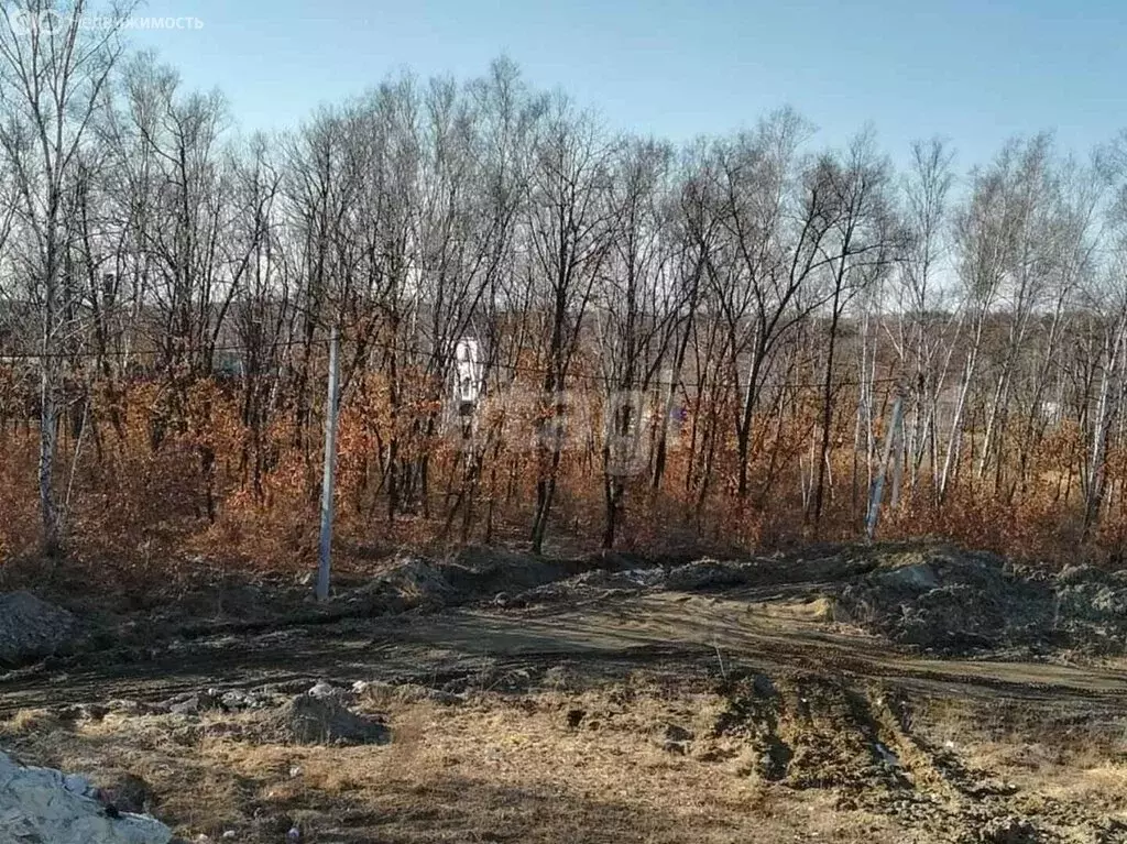 Квартира-студия: село Чигири, Лесная улица, 82/2 (17 м) - Фото 2