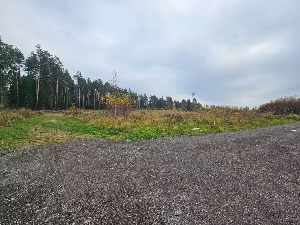 Участок в Московская область, Солнечногорск городской округ, д. ... - Фото 0