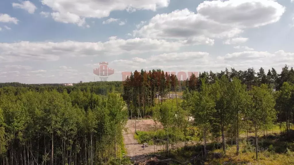 Участок в Московская область, Богородский городской округ, д. Пешково ... - Фото 2