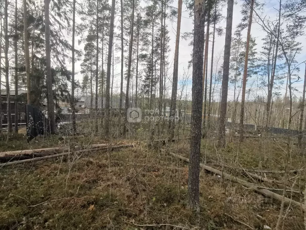 Участок в Ленинградская область, Всеволожский район, Токсовское ... - Фото 2