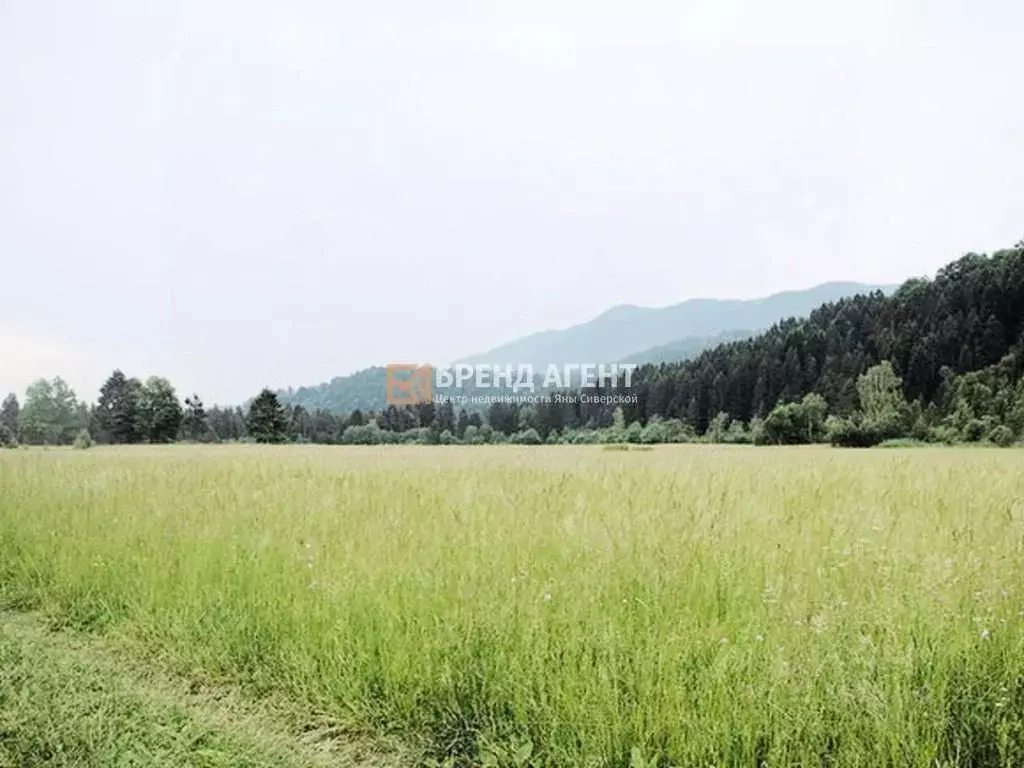 Участок в Белгородская область, Белгородский район, Головинское с/пос, ... - Фото 1