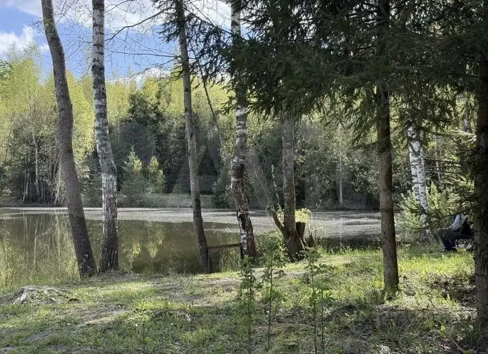 Участок в Московская область, Наро-Фоминский городской округ, ... - Фото 0