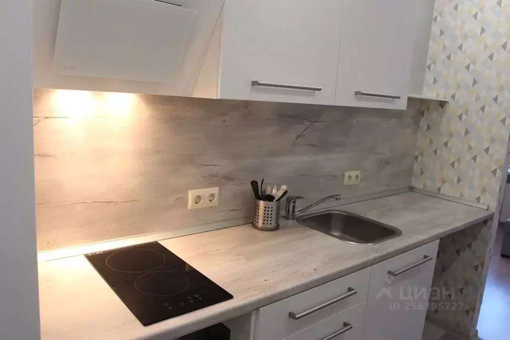 Студия Ленинградская область, Мурино Всеволожский район, просп. ... - Фото 1