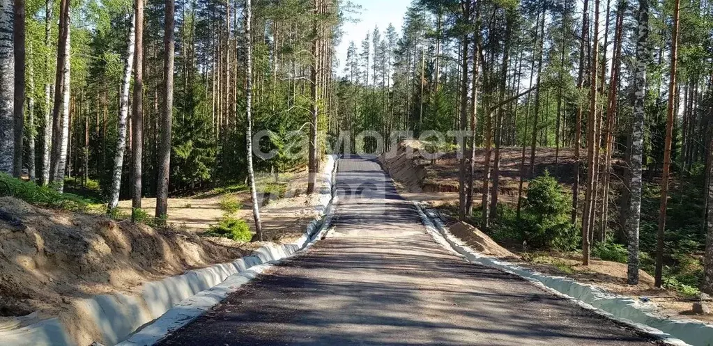 Участок в Ленинградская область, Всеволожский район, Куйвозовское ... - Фото 0