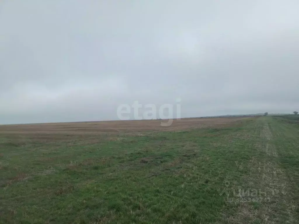 Участок в Крым, Ленинский район, Семисотское с/пос, с. Каменское ул. ... - Фото 1