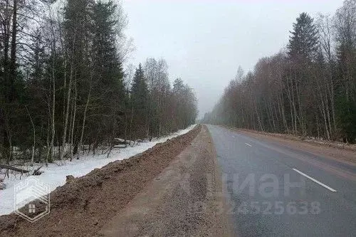 Участок в Новгородская область, Новгородский район, Савинское с/пос, ... - Фото 2