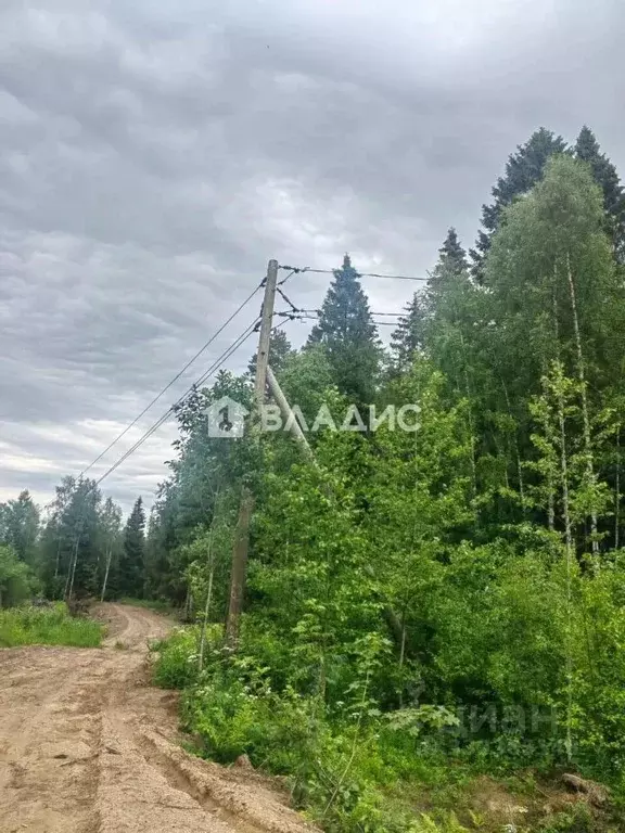 Участок в Карелия, Лахденпохский муниципальный округ, Земельный ... - Фото 1