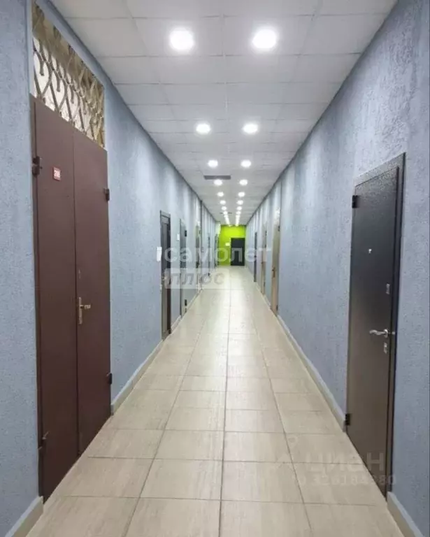 Офис в Воронежская область, Воронеж ул. Свободы, 75 (67 м) - Фото 2