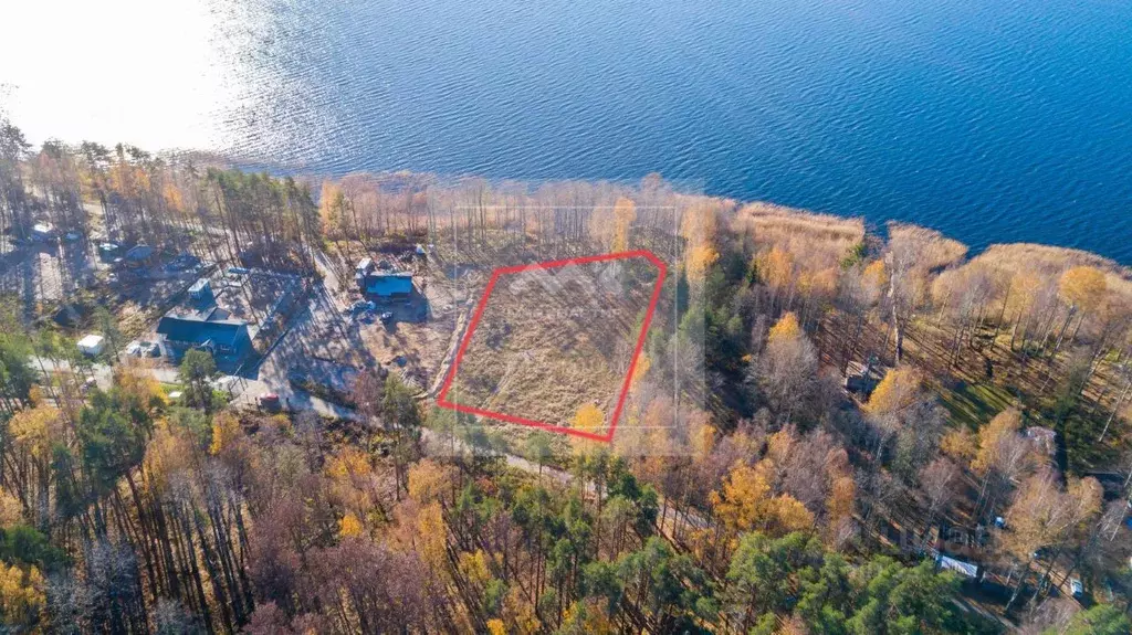 Участок в Ленинградская область, Выборгский район, Рощинское городское ... - Фото 1