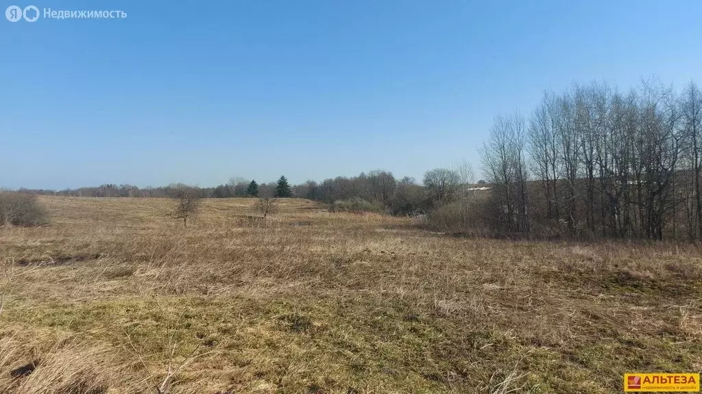 Участок в Калининградская область, Багратионовский муниципальный ... - Фото 2