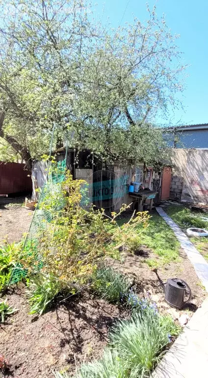Дом в Мценск, Зушенская улица, 31 (34.9 м) - Фото 1