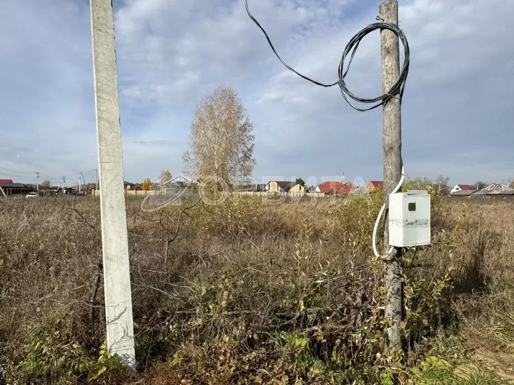 Участок в Тюменская область, Тюменский муниципальный округ, с. ... - Фото 2