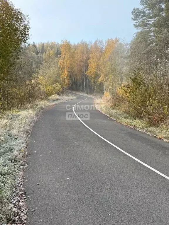 Участок в Новгородская область, Окуловский муниципальный округ, ... - Фото 2