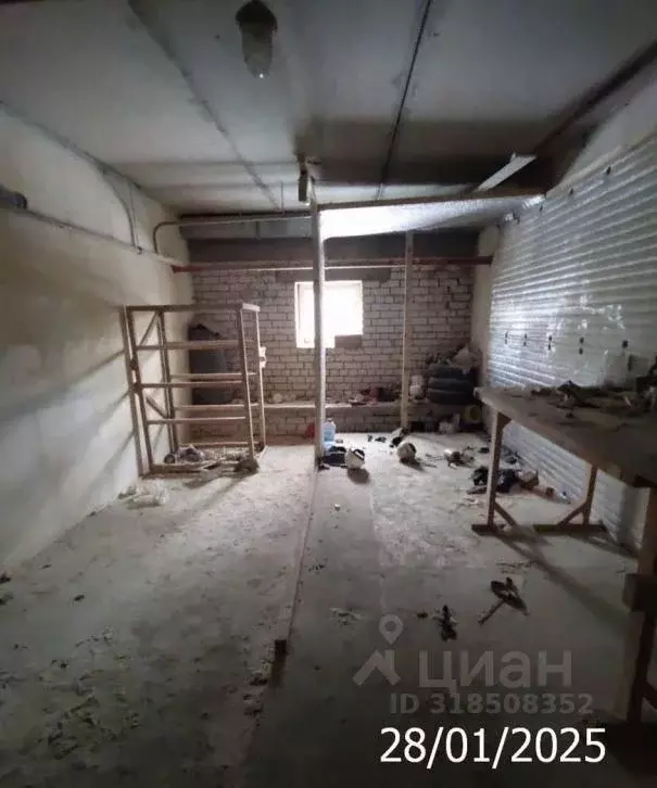 Помещение свободного назначения в Нижегородская область, Нижний ... - Фото 1