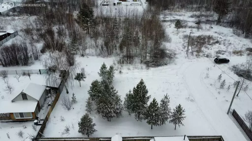 Участок в Тюменский муниципальный округ, СНТ Лесник-2, 1-я Центральная ... - Фото 1