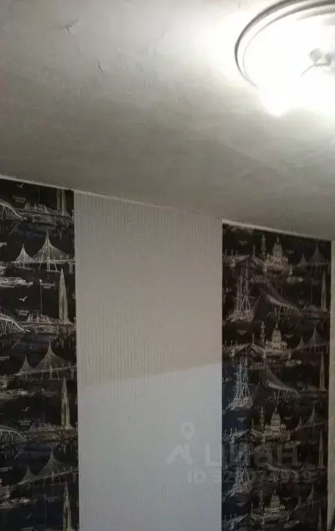 Комната Москва Гавриково-1 СНТ, 41 (18.0 м) - Фото 2