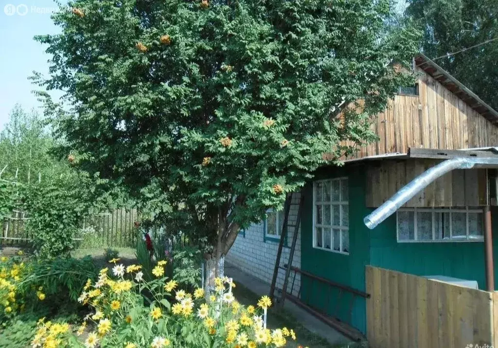 Дом в Барнаул, СНТ Восход (30 м) - Фото 2