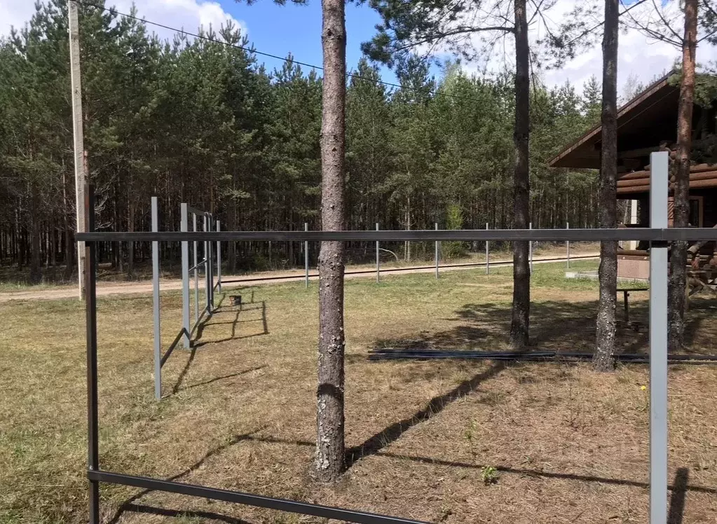 Участок в Псковская область, Печорский муниципальный округ, д. Кривск  ... - Фото 0