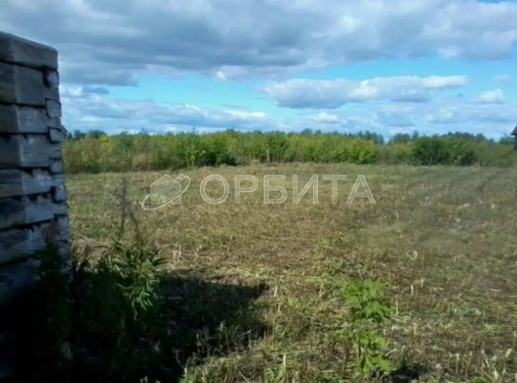 Участок в Тюменская область, Ялуторовский муниципальный округ, с. ... - Фото 1