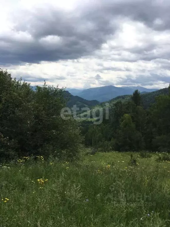 Участок в Алтай, Усть-Коксинский район, с. Усть-Кокса  (260.2 сот.) - Фото 0