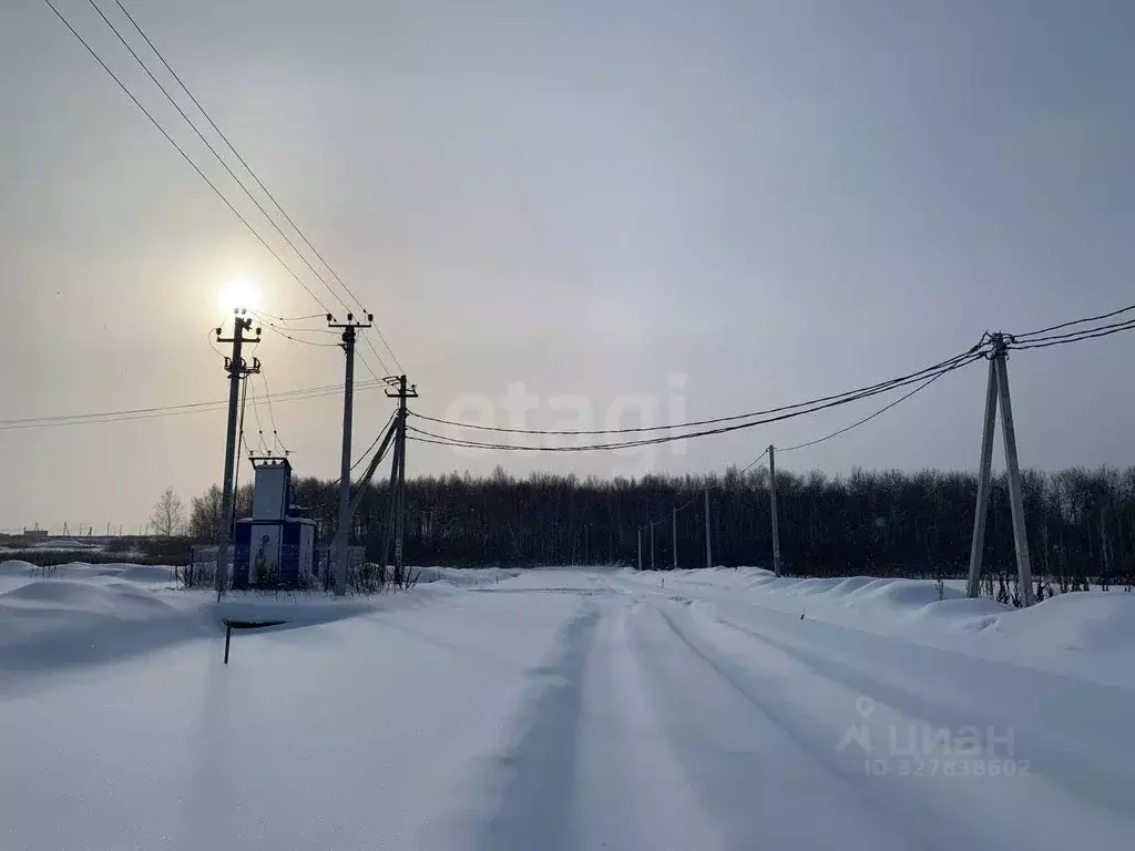 Участок в Тюменская область, Тюменский муниципальный округ, ... - Фото 1