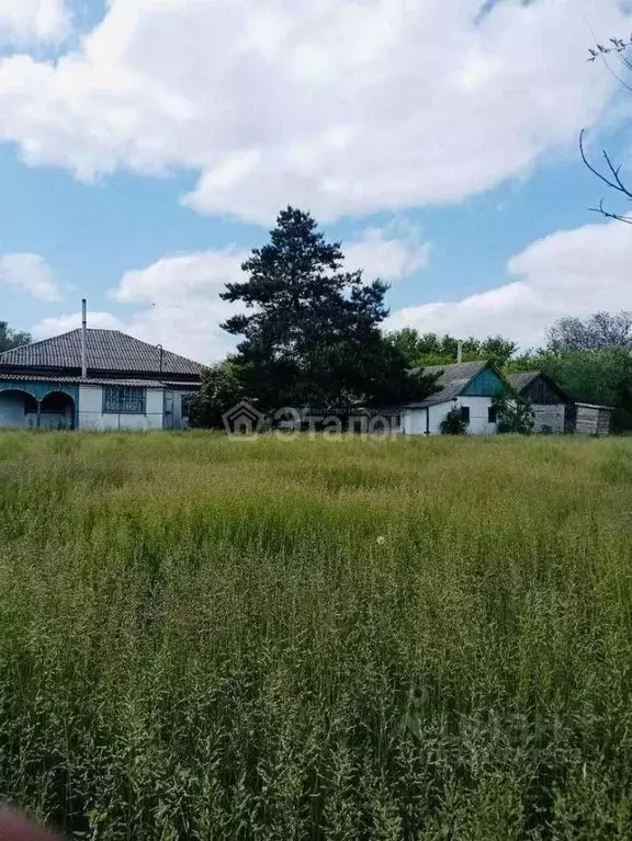 Дом в Волгоградская область, Новокиевское с/пос, Полтавский хут. ул. ... - Фото 1