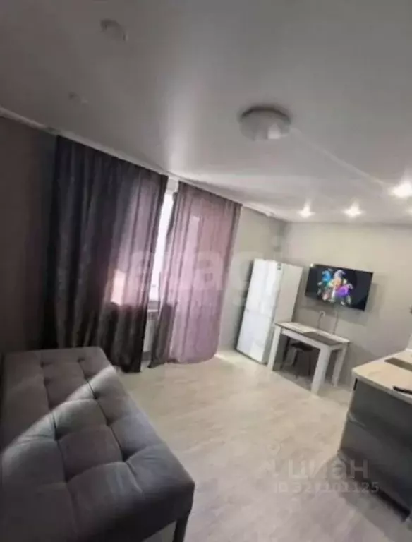 Студия Амурская область, Благовещенск ул. Василенко, 3/4 (24.2 м) - Фото 2