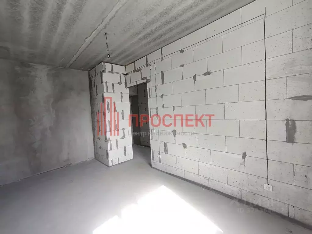 1-к кв. Пензенская область, Пензенский район, Засечный сельсовет, с. ... - Фото 1