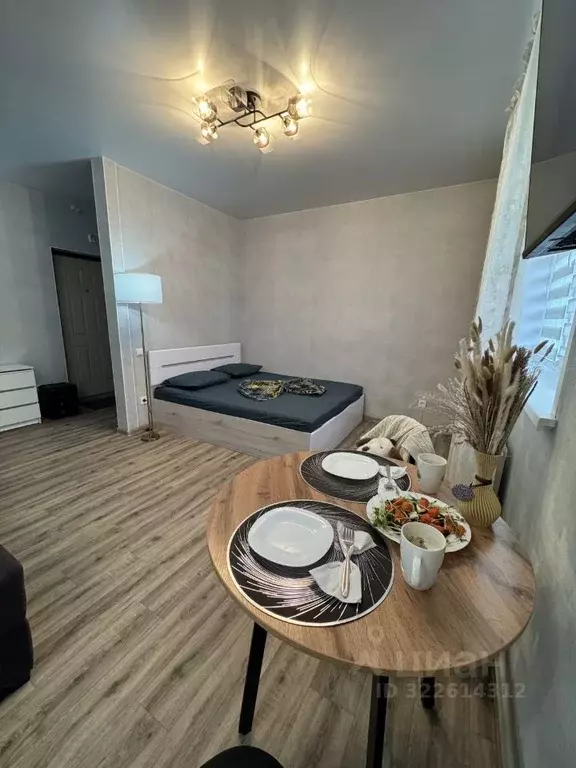 1-к кв. Алтайский край, Белокуриха Бийская ул., 13 (32.0 м) - Фото 2