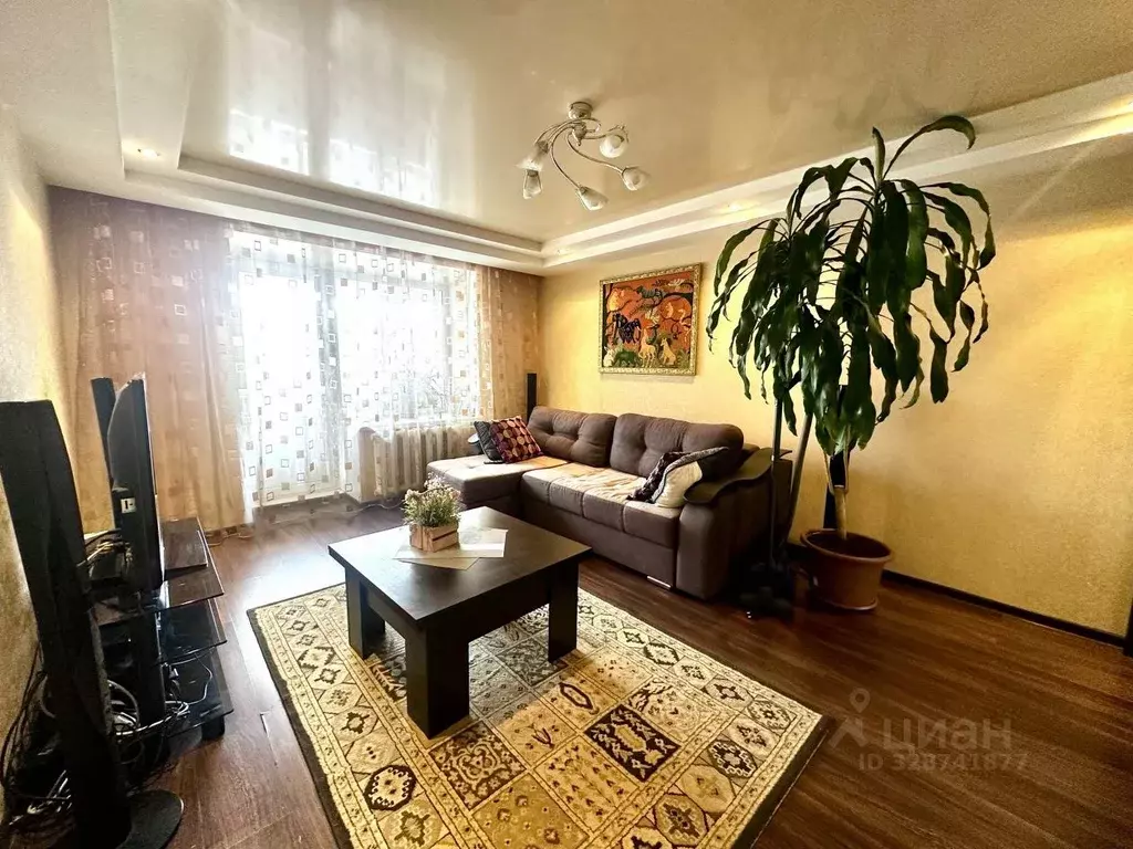 3-к кв. Нижегородская область, Бор ул. Фрунзе, 91 (60.1 м) - Фото 1