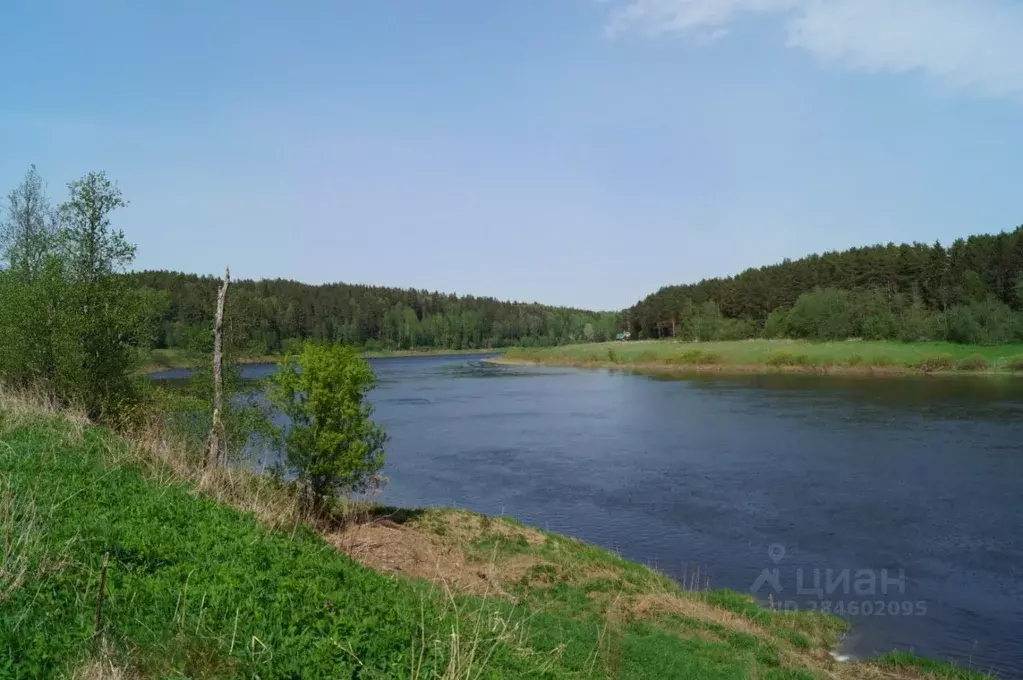 Участок в Тверская область, Старицкий муниципальный округ, д. Подол  ... - Фото 0