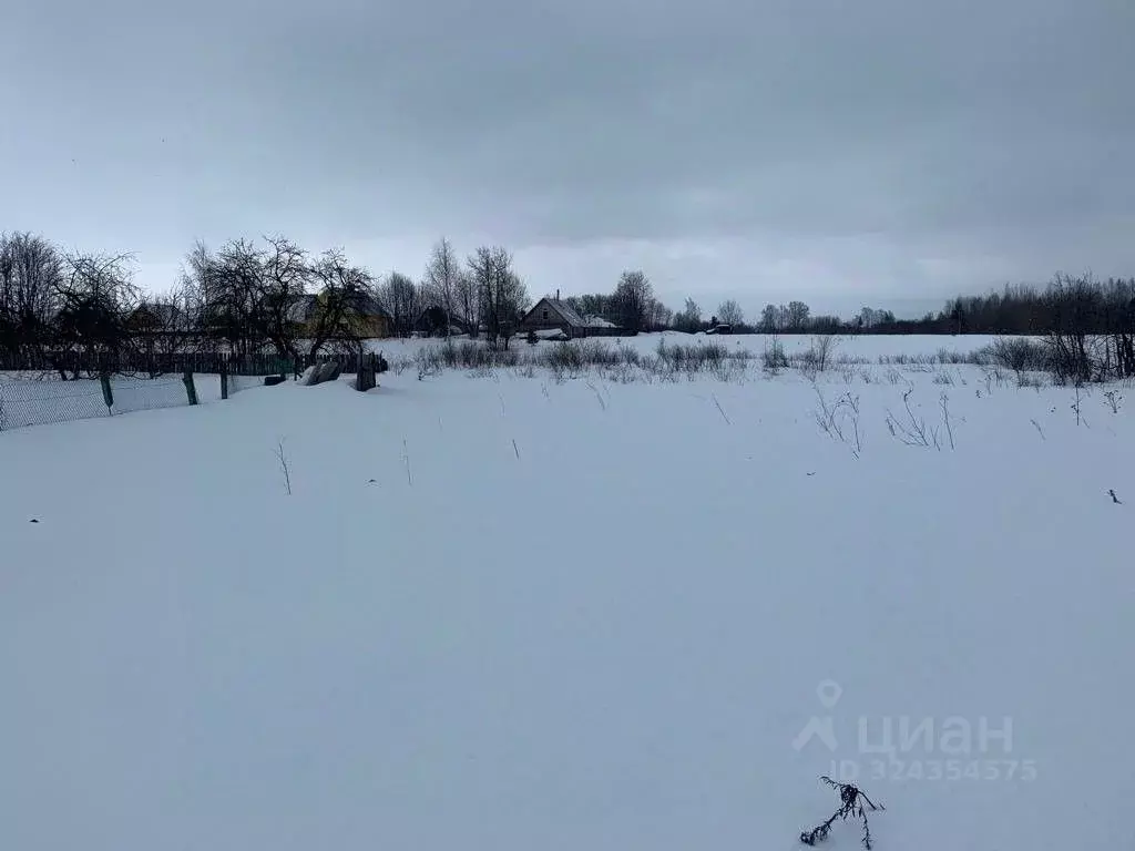 Участок в Вологодская область, д. Горка-Покровская (Березниковский ... - Фото 1