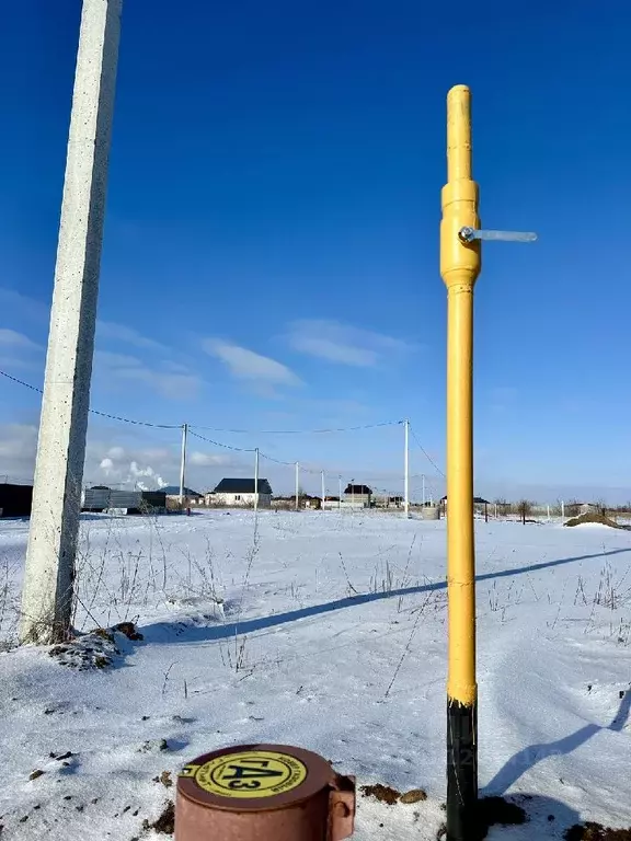 Участок в Саратовская область, Энгельсский район, Новопушкинское ... - Фото 0