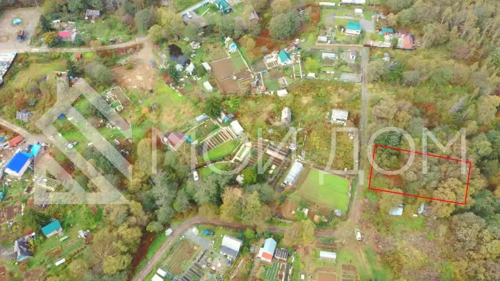 циан южно сахалинск