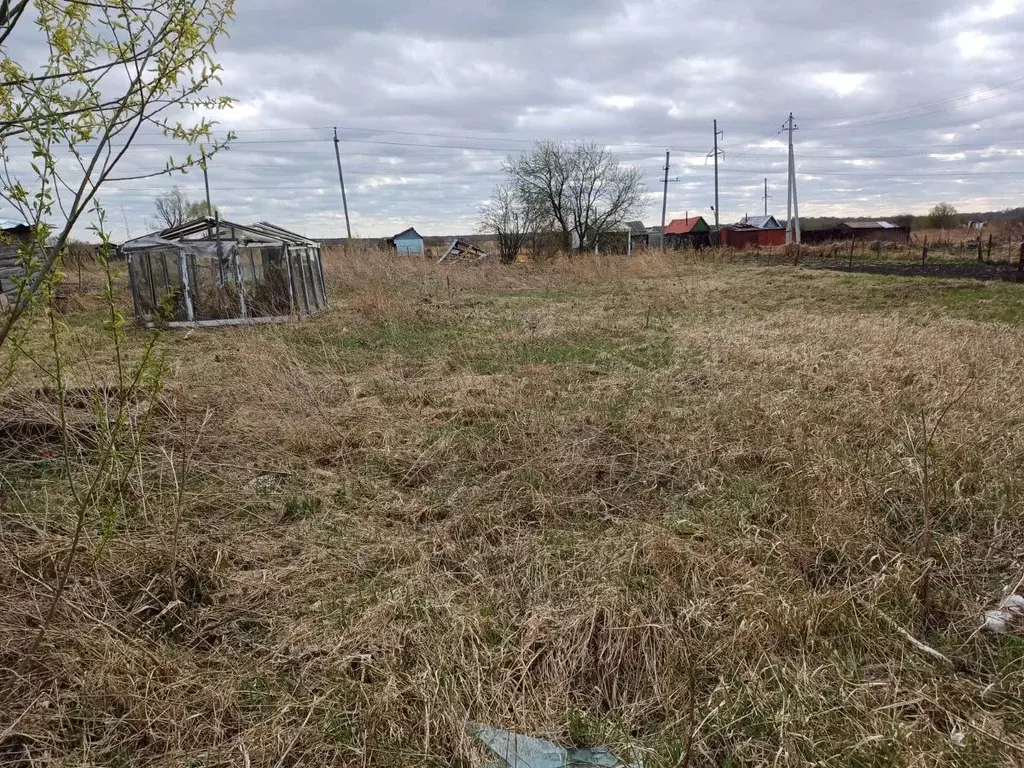 Участок в Новосибирская область, Новосибирский район, с. Криводановка  ... - Фото 1